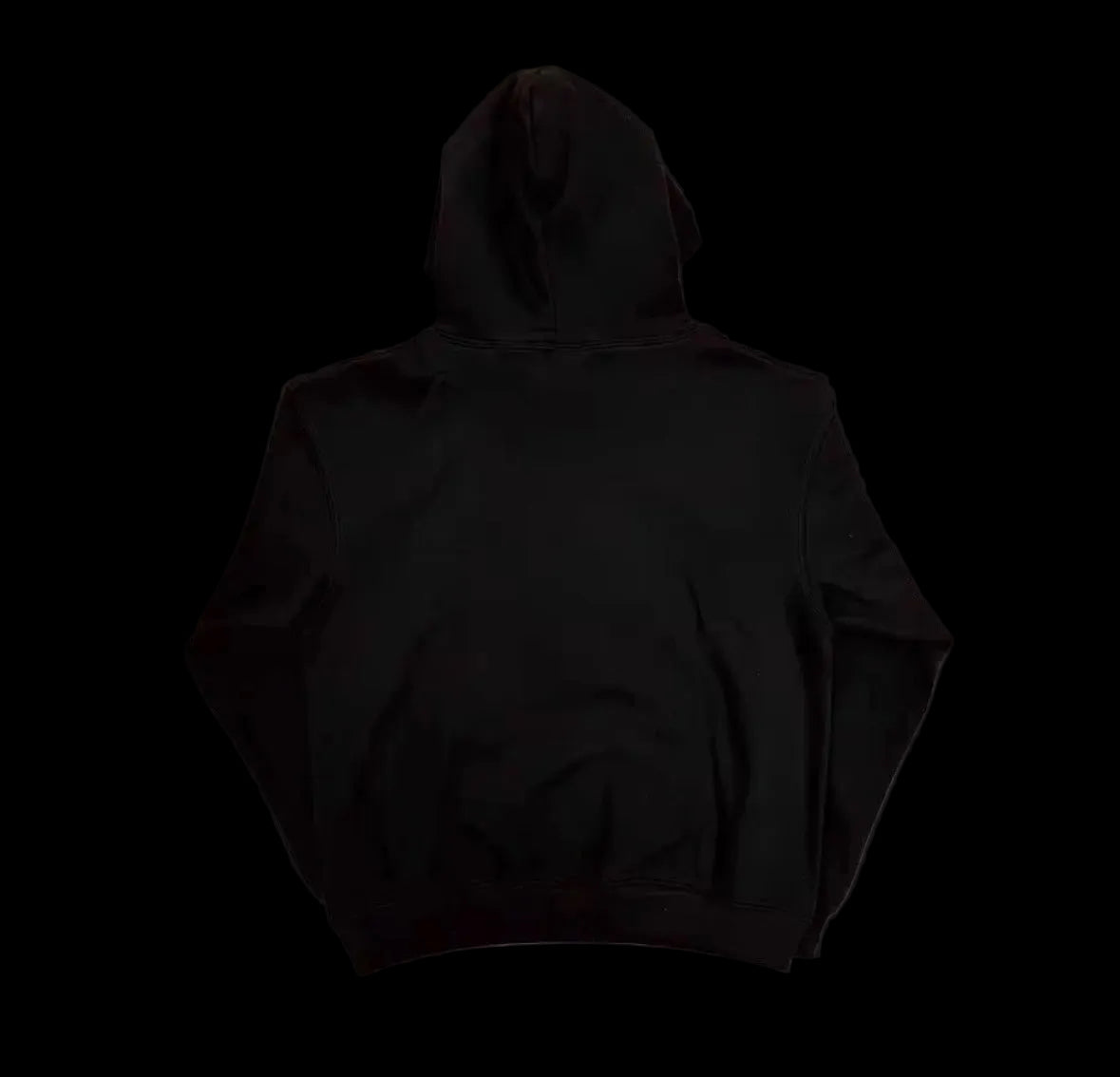 FN NINE VICIOUS HOODIE