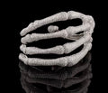 VVS SKULL KEN CARSON BRACELET