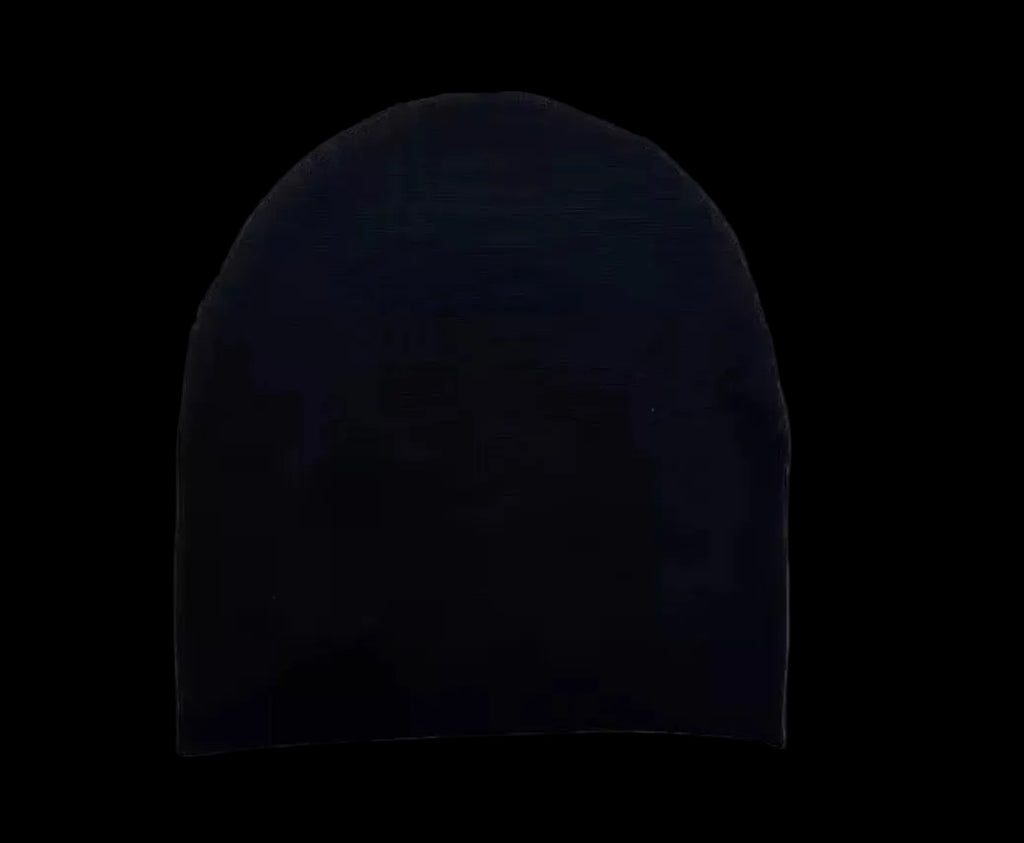 FN NINE VICIOUS BEANIE