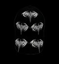 ANTAGONIST PBC CAP