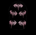 ANTAGONIST PBC CAP